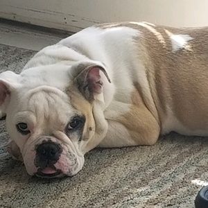 Meet your Posher, Alexus